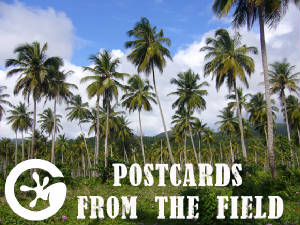 Postcards from the field